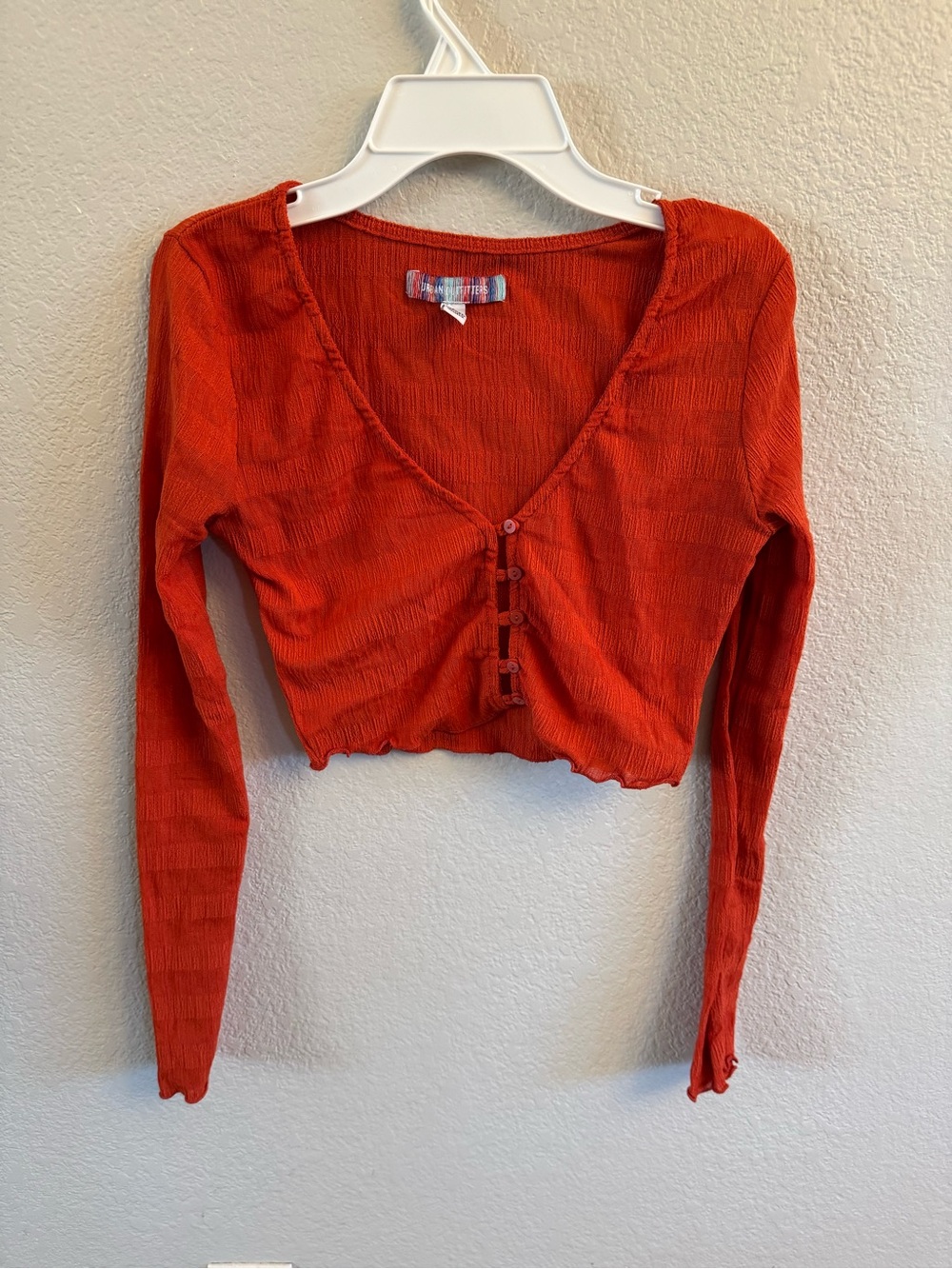Urban Outfitters Rust Orange Crinkle Long Sleeve Crop Top